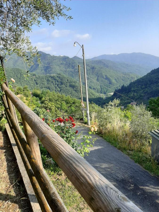 La Casa Di Amelia Villa Borzonasca Luaran gambar