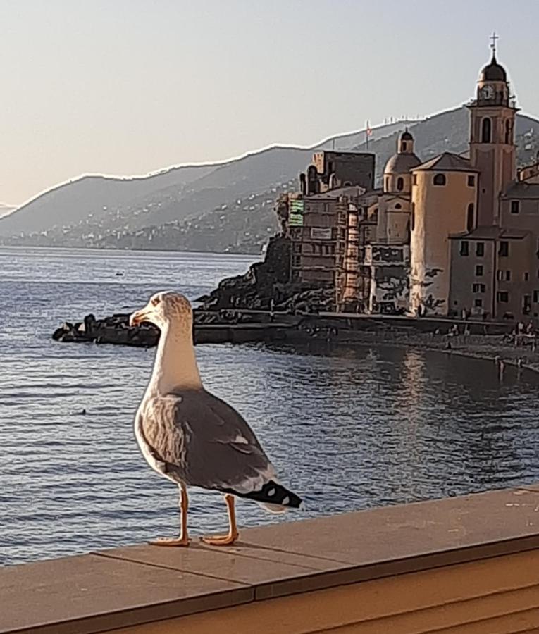 La Casa Di Amelia Villa Borzonasca Luaran gambar
