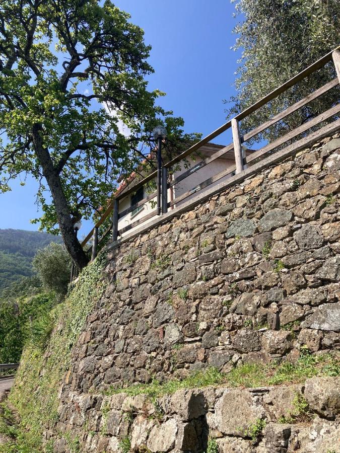 La Casa Di Amelia Villa Borzonasca Luaran gambar