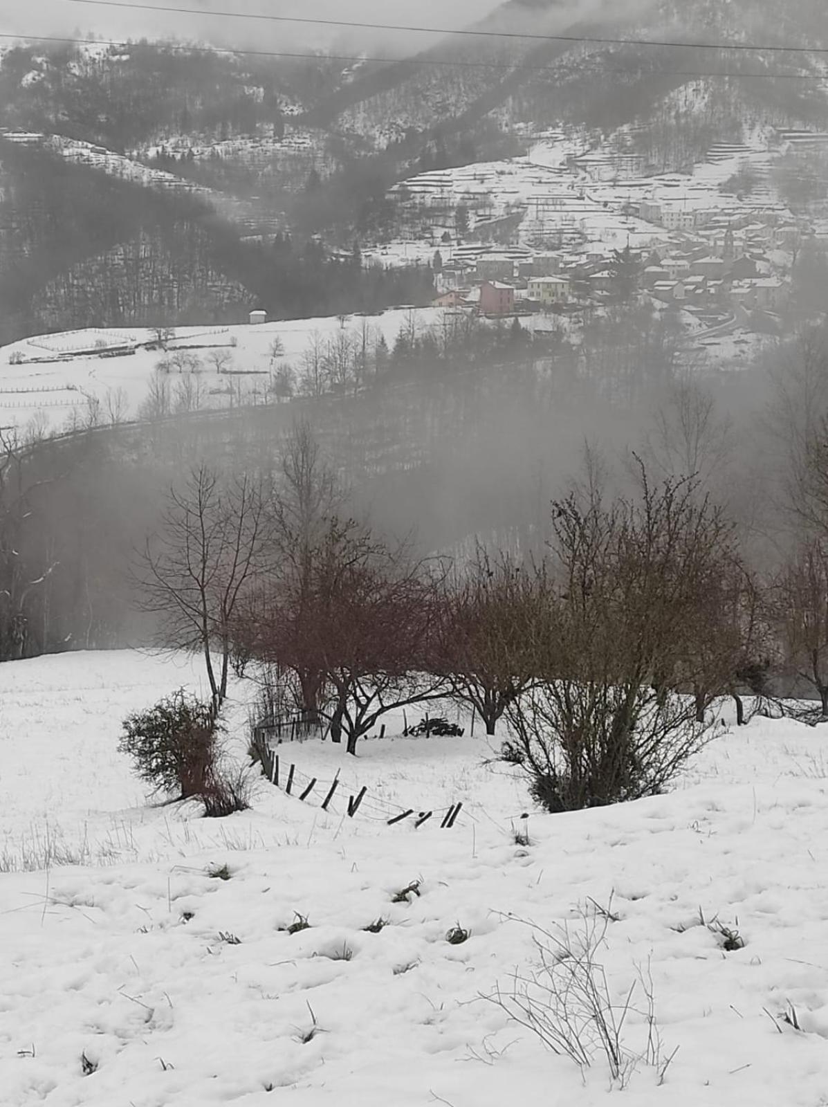 La Casa Di Amelia Villa Borzonasca Luaran gambar